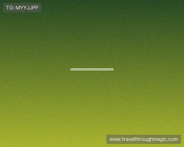 新球体育比分完整版让你随时掌握最新比赛结果和详细数据分析